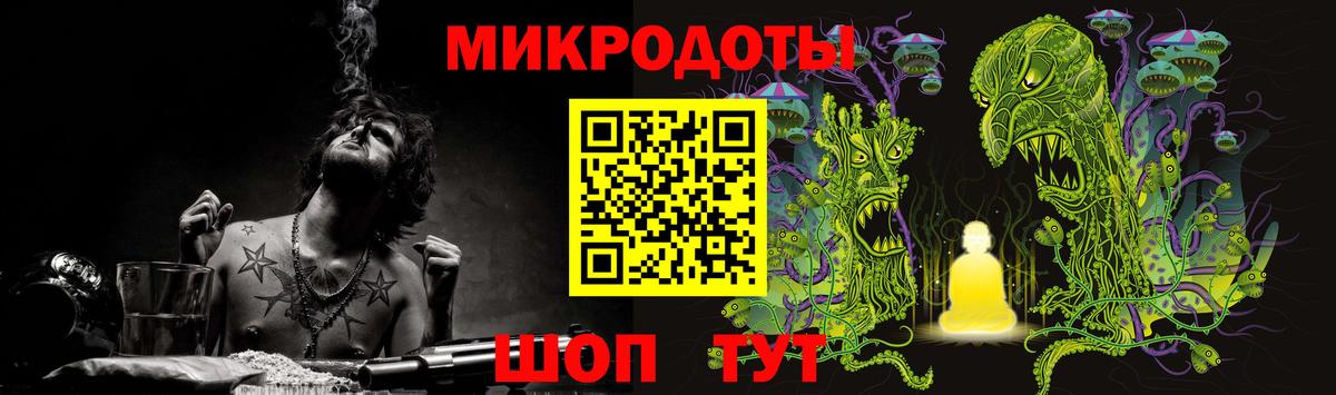 Галлюциногенные грибы Psilocybe Архангельск